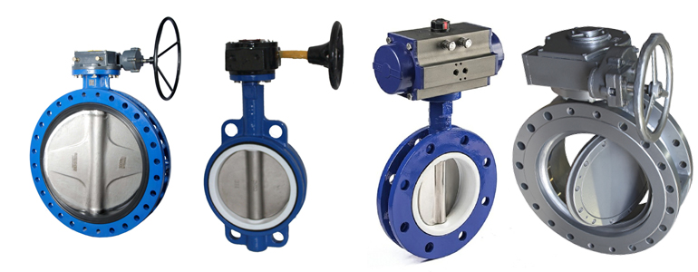 Valve for Ballast Water management System
